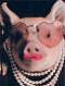 Crackfarm's Avatar