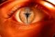 grace4me's Avatar
