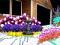 practicalhorticulture