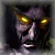 Appadavek's Avatar